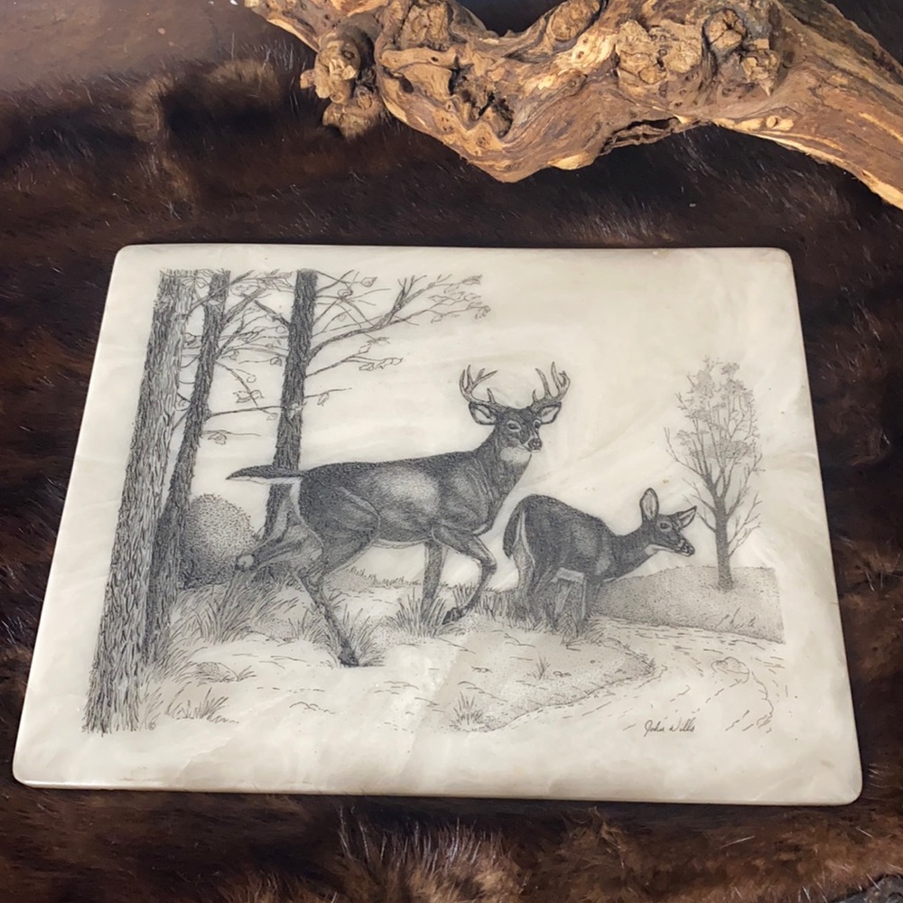Wildlife Deer Illustration on Cream